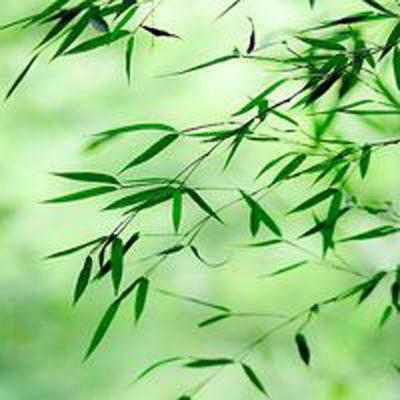 夫君撩人：农门悍妻种田忙