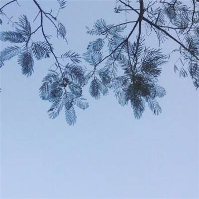至尊狂神